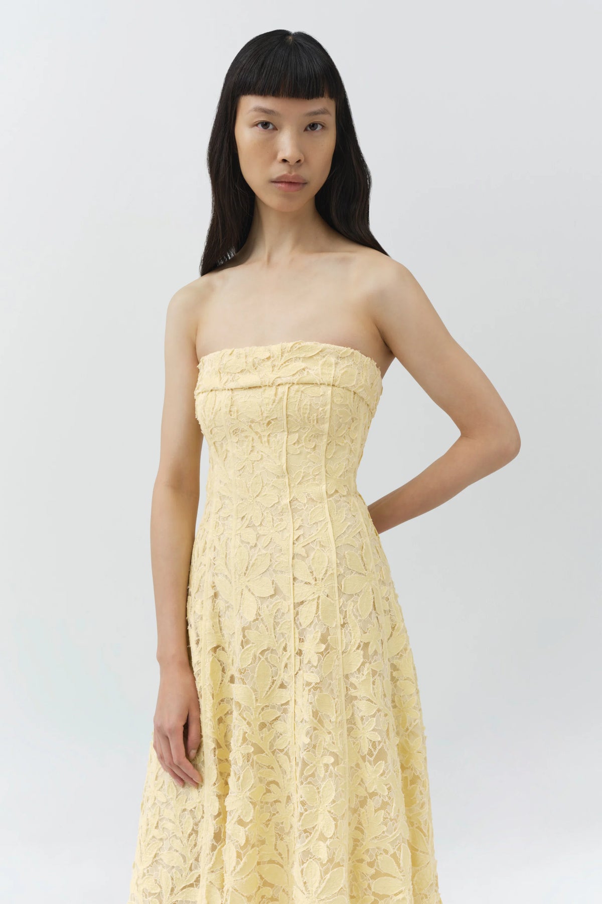 Simkhai Imogen Cotton Lace Bustier Dress