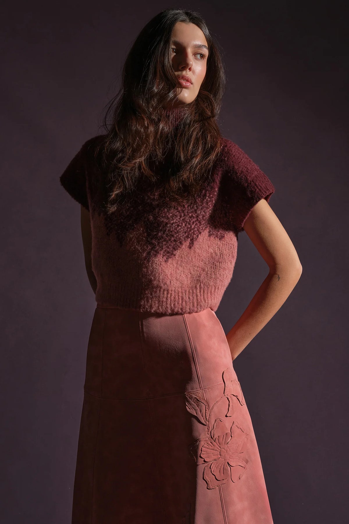 Amur Harper Ombre Knit Top