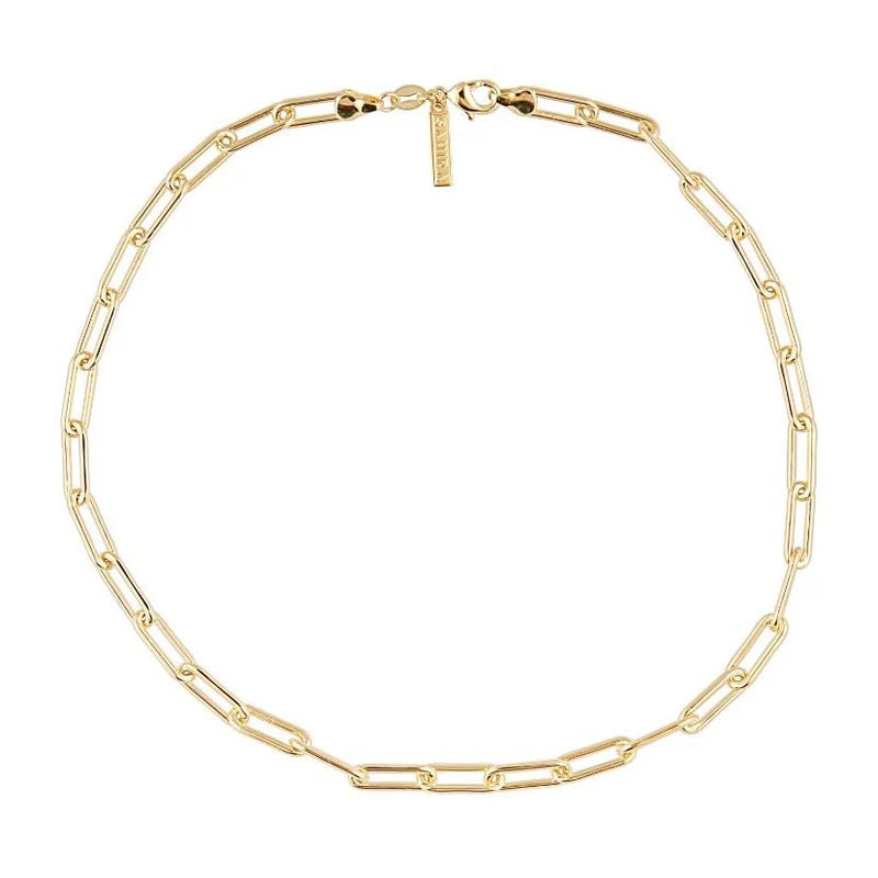 Carrie Link Necklace - 20"