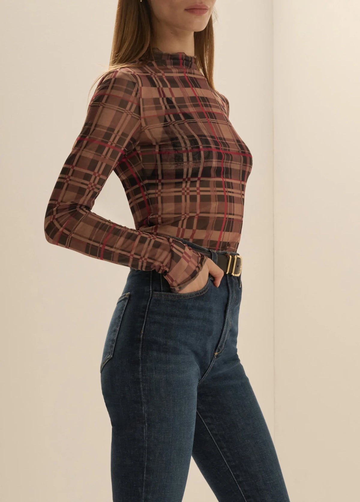 Favorite Daughter The Sheer Fantasy Top
