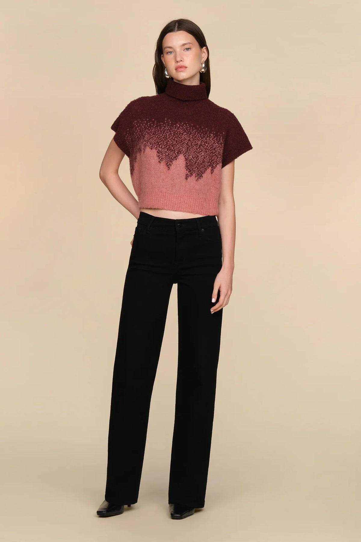 Amur Harper Ombre Knit Top