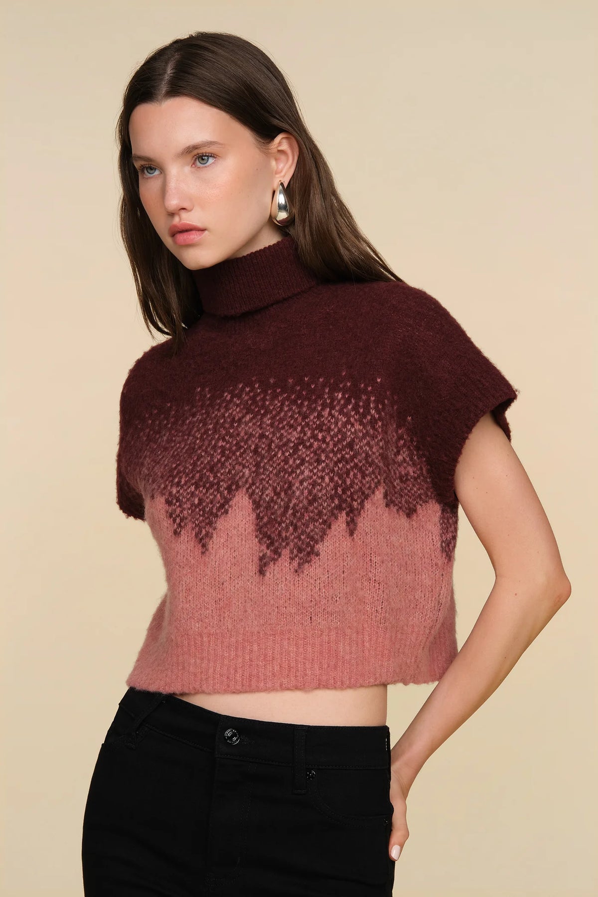 Amur Harper Ombre Knit Top